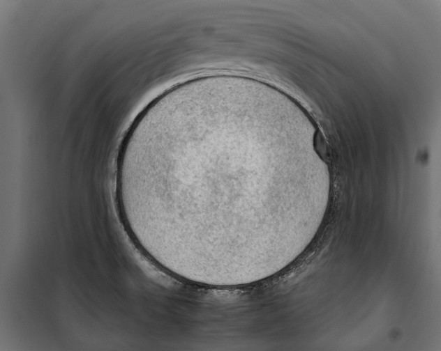 X0000099981523200806201413