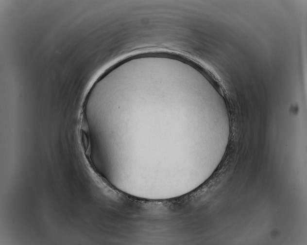 X0000099981524200806201413