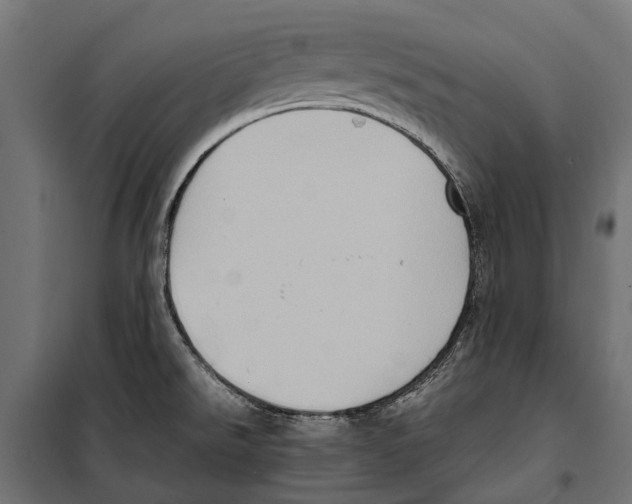 X0000099981526200806201413