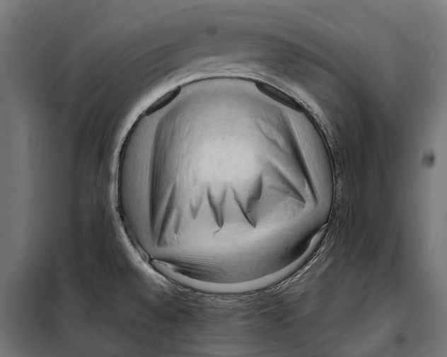 X0000099981528200806201413