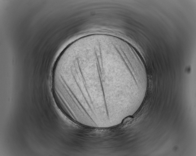 X0000099981531200806201414