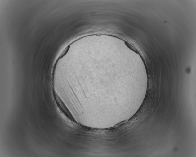 X0000099981532200806201414