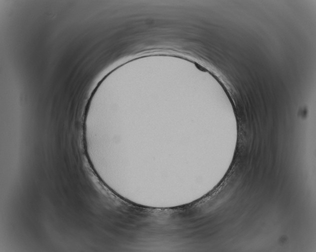 X0000099981534200806201414