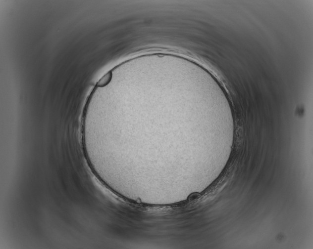 X0000099981535200806201414