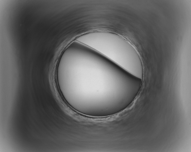 X0000099990001200805231053