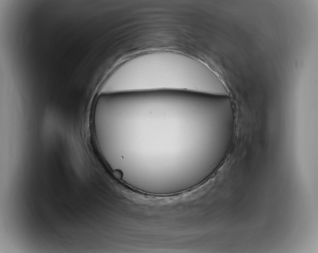 X0000099990002200805231053