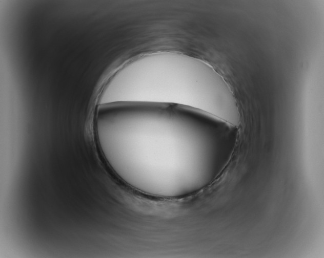 X0000099990004200805231053