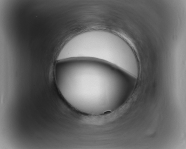 X0000099990009200805231053
