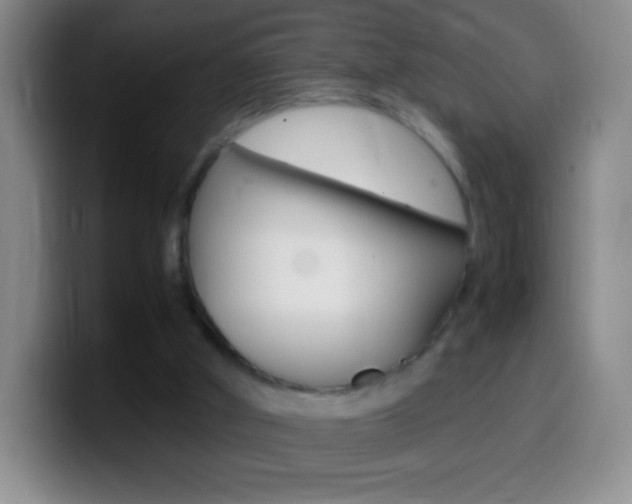 X0000099990010200805231053