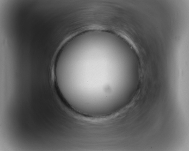 X0000099990011200805231053