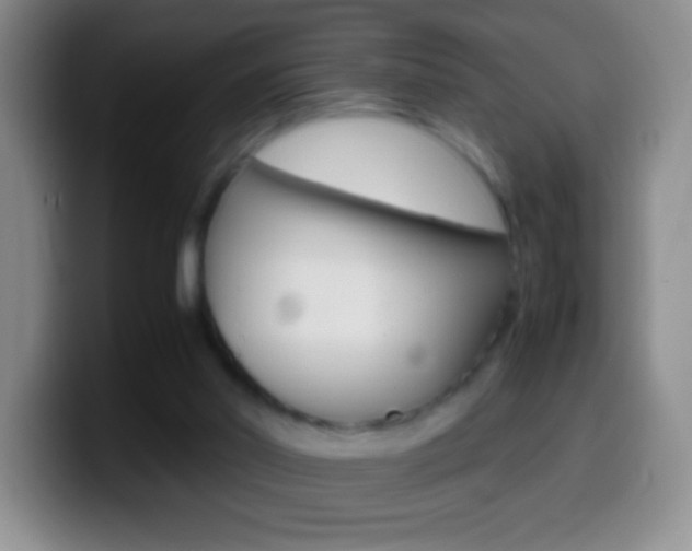 X0000099990014200805231053
