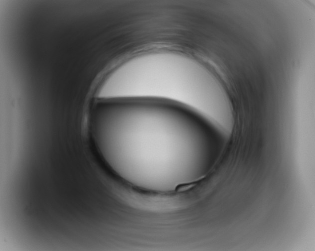 X0000099990016200805231053