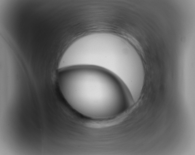 X0000099990017200805231053
