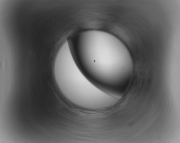 X0000099990020200805231053