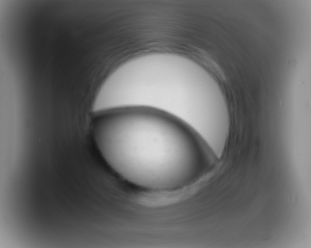 X0000099990025200805231053