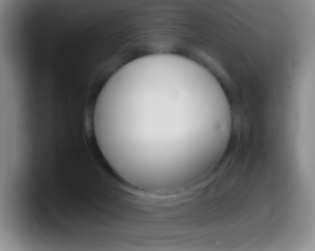 X0000099990026200805231053