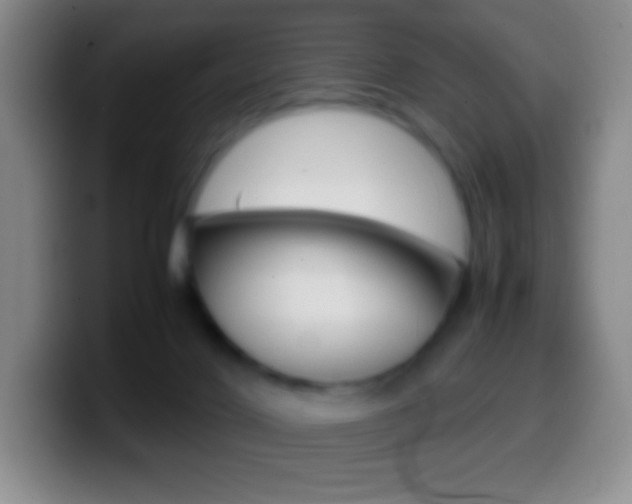 X0000099990028200805231053