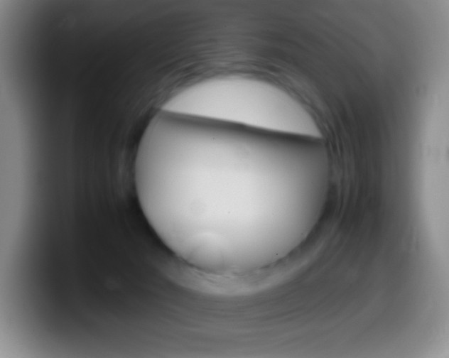 X0000099990030200805231053