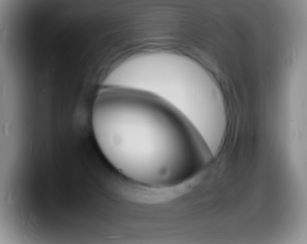 X0000099990031200805231053