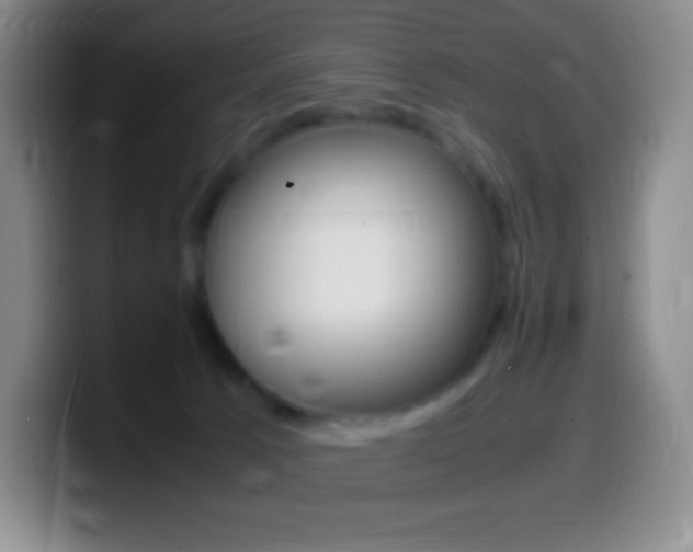 X0000099990033200805231053