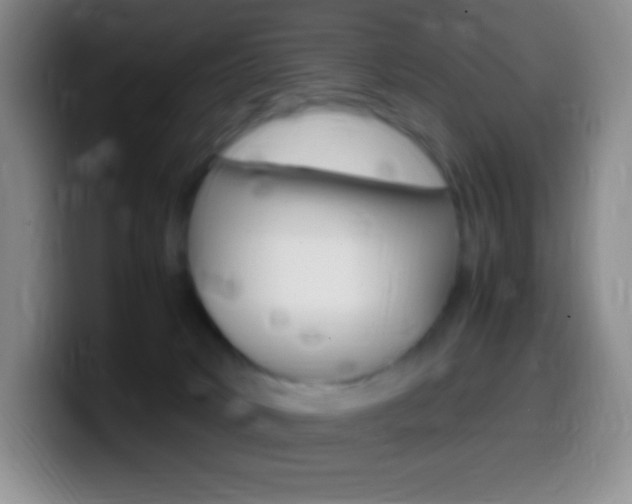 X0000099990034200805231053