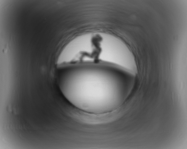 X0000099990035200805231053