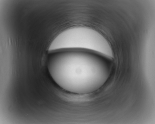 X0000099990036200805231053