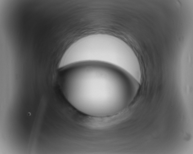 X0000099990037200805231053