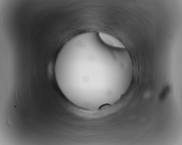 X0000099990038200805231053
