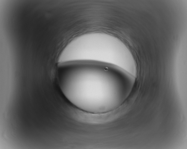 X0000099990039200805231053