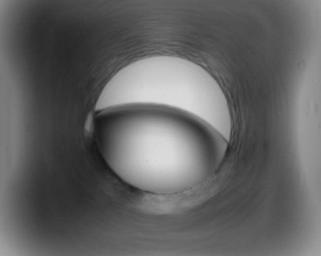 X0000099990041200805231053