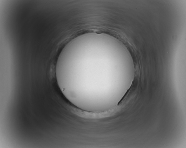 X0000099990043200805231053