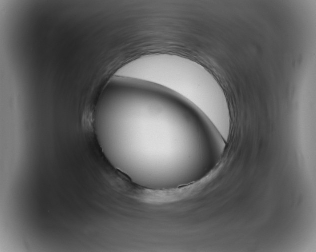 X0000099990045200805231053