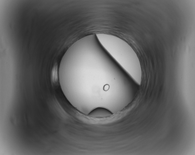 X0000099990046200805231053