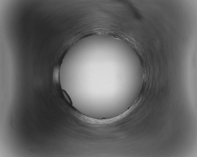 X0000099990047200805231053