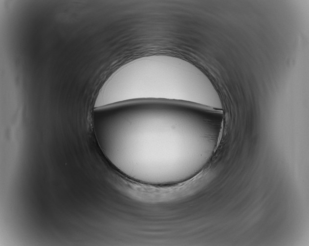 X0000099990048200805231053
