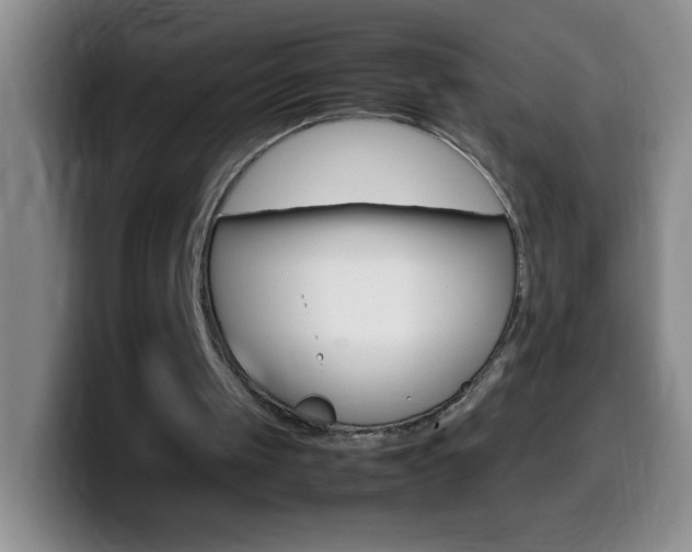 X0000099990049200805231052
