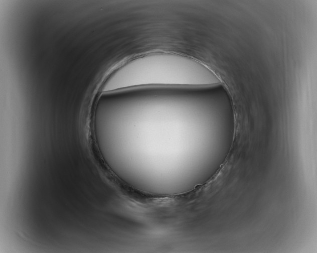 X0000099990050200805231052