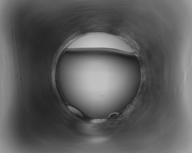 X0000099990051200805231052