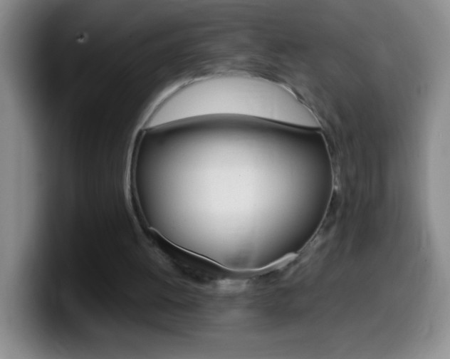 X0000099990052200805231052