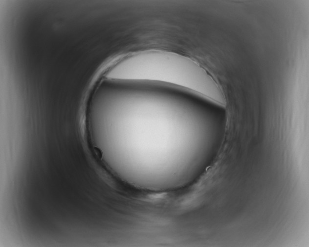 X0000099990054200805231052