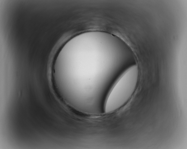 X0000099990055200805231052