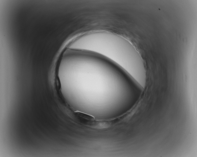X0000099990056200805231052