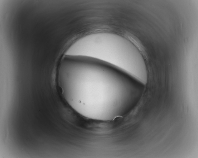 X0000099990058200805231052