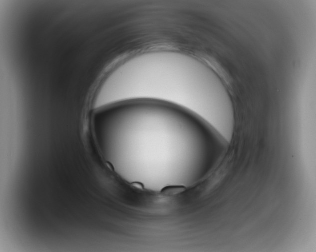 X0000099990060200805231052