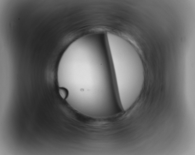 X0000099990063200805231052