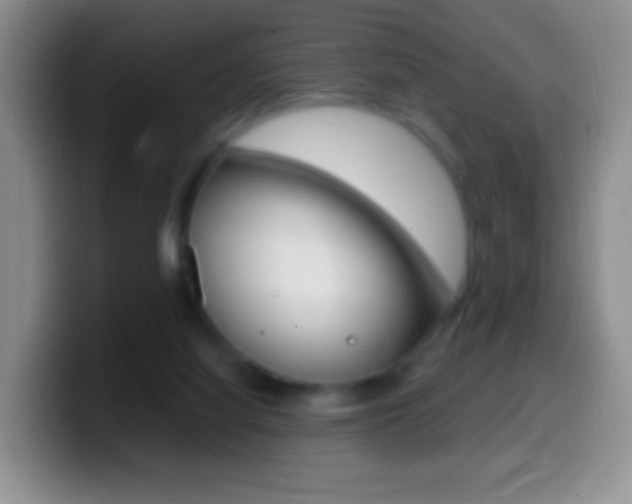 X0000099990068200805231052