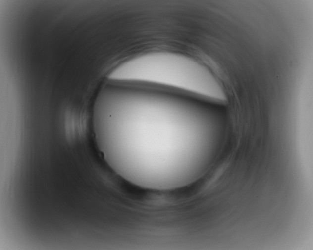 X0000099990071200805231052