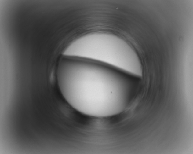 X0000099990074200805231052