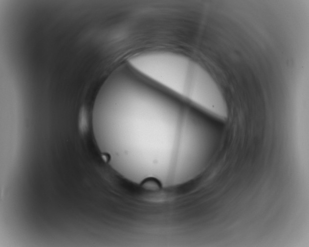 X0000099990075200805231052